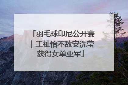 羽毛球印尼公开赛｜王祉怡不敌安洗莹 获得女单亚军
