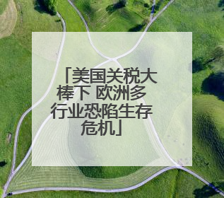 美国关税大棒下 欧洲多行业恐陷生存危机