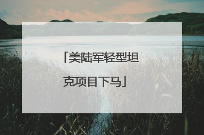 美陆军轻型坦克项目下马