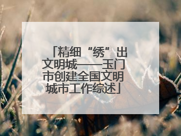 精细“绣”出文明城——玉门市创建全国文明城市工作综述
