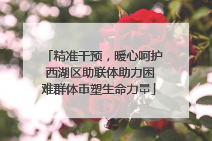 精准干预，暖心呵护 西湖区助联体助力困难群体重塑生命力量
