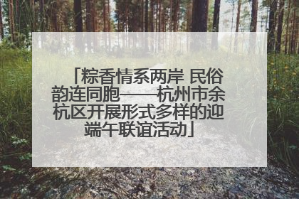 粽香情系两岸 民俗韵连同胞——杭州市余杭区开展形式多样的迎端午联谊活动