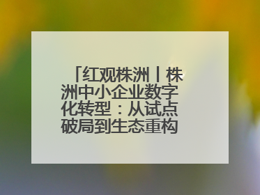 红观株洲丨株洲中小企业数字化转型：从试点破局到生态重构的进阶之路