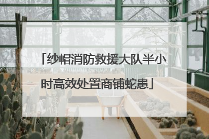 纱帽消防救援大队半小时高效处置商铺蛇患