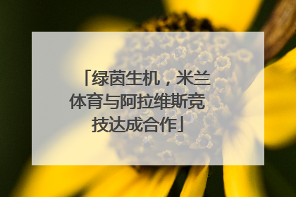 绿茵生机，米兰体育与阿拉维斯竞技达成合作