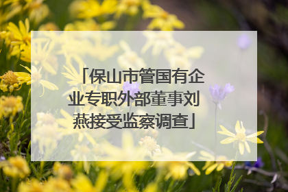 保山市管国有企业专职外部董事刘燕接受监察调查