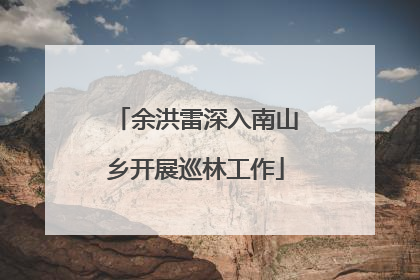 余洪雷深入南山乡开展巡林工作