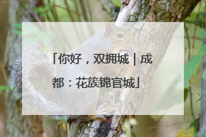 你好，双拥城｜成都：花簇锦官城
