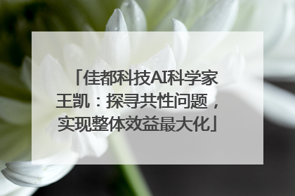 佳都科技AI科学家王凯：探寻共性问题，实现整体效益最大化