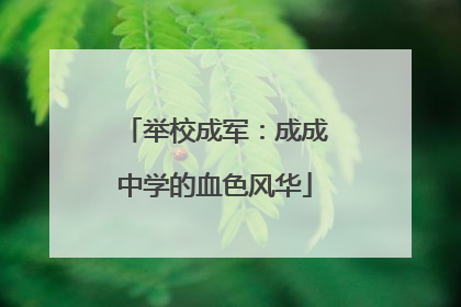 举校成军：成成中学的血色风华