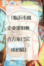 临沂市属企业重组整合方案已完成初稿