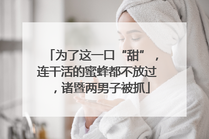 为了这一口“甜”，连干活的蜜蜂都不放过，诸暨两男子被抓
