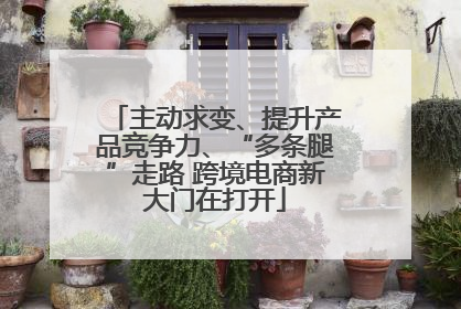 主动求变、提升产品竞争力、“多条腿”走路 跨境电商新大门在打开
