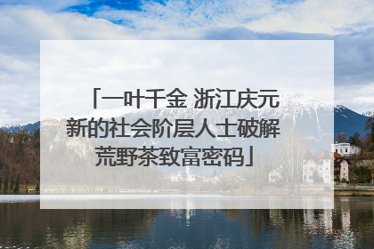 一叶千金 浙江庆元新的社会阶层人士破解荒野茶致富密码