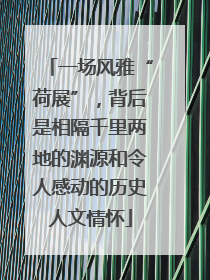 一场风雅“荷展”，背后是相隔千里两地的渊源和令人感动的历史人文情怀
