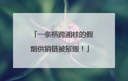 一条横跨湘桂的假烟供销链被摧毁！