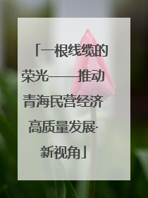 一根线缆的荣光——推动青海民营经济高质量发展·新视角
