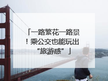 一路繁花一路景！乘公交也能玩出“旅游感”