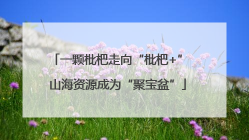 一颗枇杷走向“枇杷+” 山海资源成为“聚宝盆”