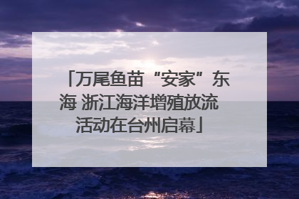 万尾鱼苗“安家”东海 浙江海洋增殖放流活动在台州启幕