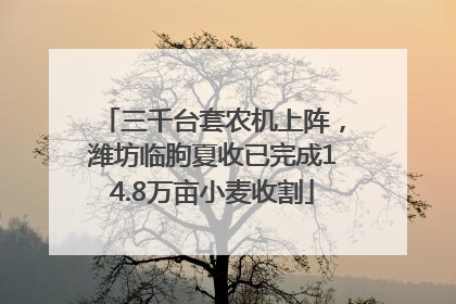 三千台套农机上阵，潍坊临朐夏收已完成14.8万亩小麦收割