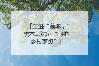 三进“菌地，”黑木耳法庭“呵护乡村梦想”