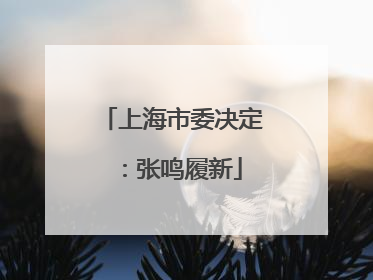 上海市委决定：张鸣履新