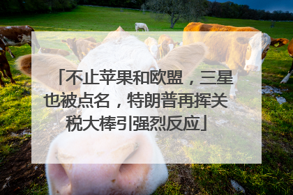 不止苹果和欧盟，三星也被点名，特朗普再挥关税大棒引强烈反应