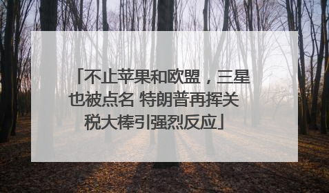 不止苹果和欧盟，三星也被点名 特朗普再挥关税大棒引强烈反应