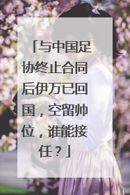 与中国足协终止合同后伊万已回国，空留帅位，谁能接任？