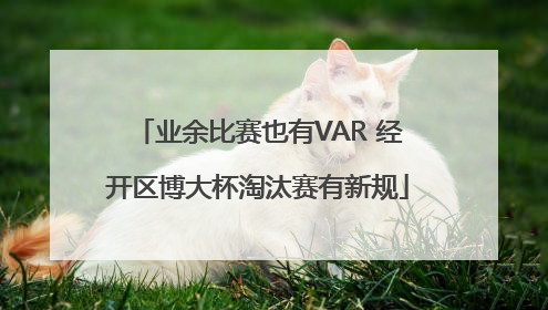 业余比赛也有VAR 经开区博大杯淘汰赛有新规