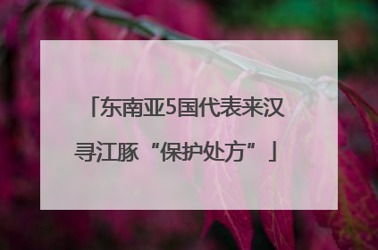 东南亚5国代表来汉寻江豚“保护处方”