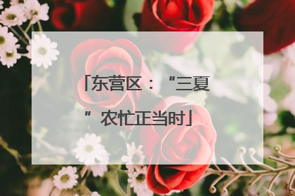 东营区：“三夏”农忙正当时