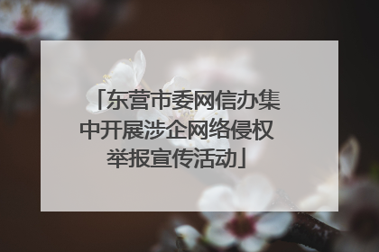 东营市委网信办集中开展涉企网络侵权举报宣传活动