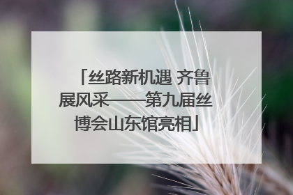 丝路新机遇 齐鲁展风采——第九届丝博会山东馆亮相