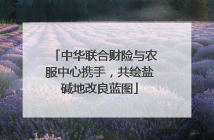中华联合财险与农服中心携手，共绘盐碱地改良蓝图