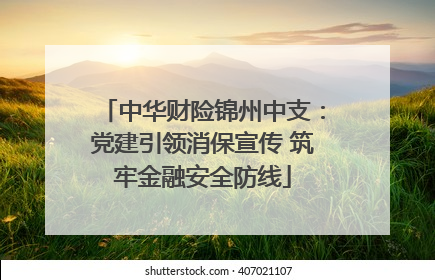 中华财险锦州中支：党建引领消保宣传 筑牢金融安全防线