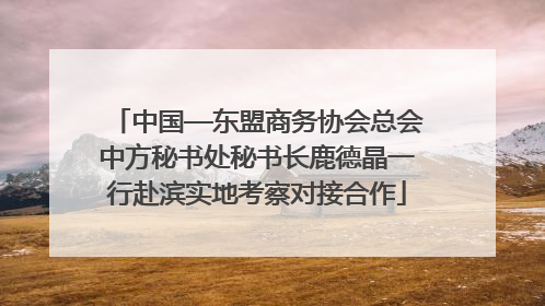 中国—东盟商务协会总会中方秘书处秘书长鹿德晶一行赴滨实地考察对接合作