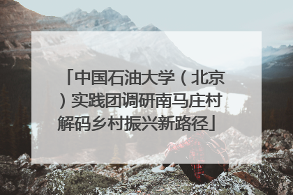 中国石油大学（北京）实践团调研南马庄村解码乡村振兴新路径