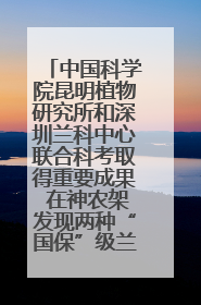 中国科学院昆明植物研究所和深圳兰科中心联合科考取得重要成果 在神农架发现两种“国保”级兰花