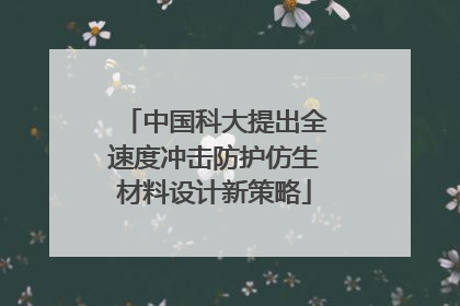 中国科大提出全速度冲击防护仿生材料设计新策略