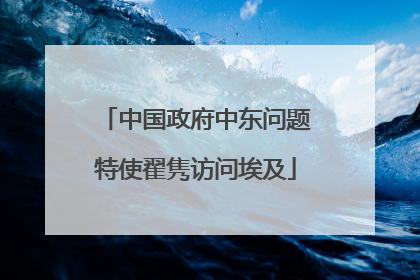 中国政府中东问题特使翟隽访问埃及