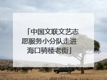中国文联文艺志愿服务小分队走进海口骑楼老街