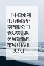 中国水利电力物资华南有限公司党员突击队勇当新能源市场开拓排头兵