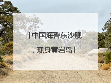 中国海警东沙舰，现身黄岩岛