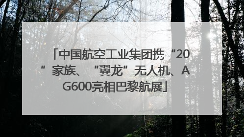 中国航空工业集团携“20”家族、“翼龙”无人机、AG600亮相巴黎航展