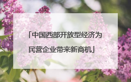 中国西部开放型经济为民营企业带来新商机