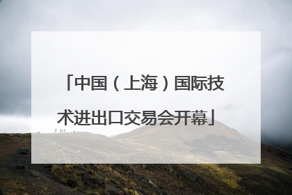 中国（上海）国际技术进出口交易会开幕