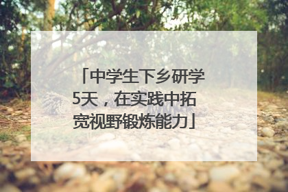 中学生下乡研学5天，在实践中拓宽视野锻炼能力
