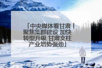 中央媒体看甘肃丨聚焦集群建设 加快转型升级 甘肃支柱产业增势强劲